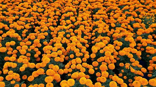 WhatsApp Image 2024-10-30 at 3.04.38 PM