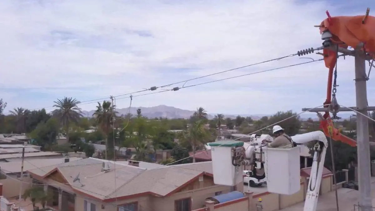 WhatsApp Image 2024-04-27 at 7.22.24 PM