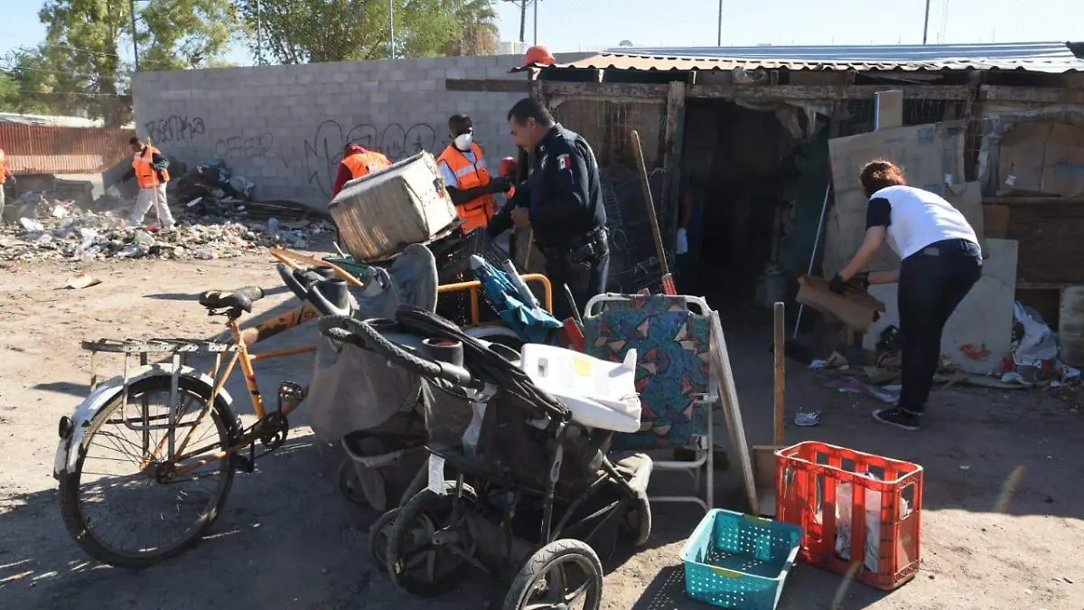 WhatsApp Image 2019-10-12 at 10.30.49 (1)