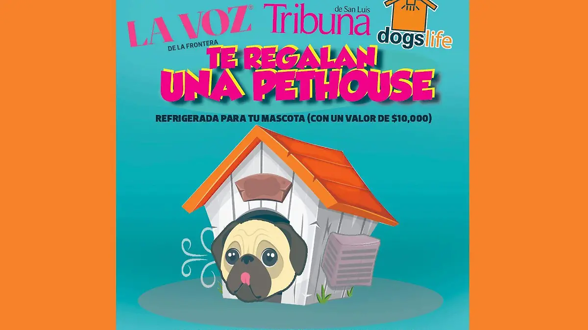para cue portada
