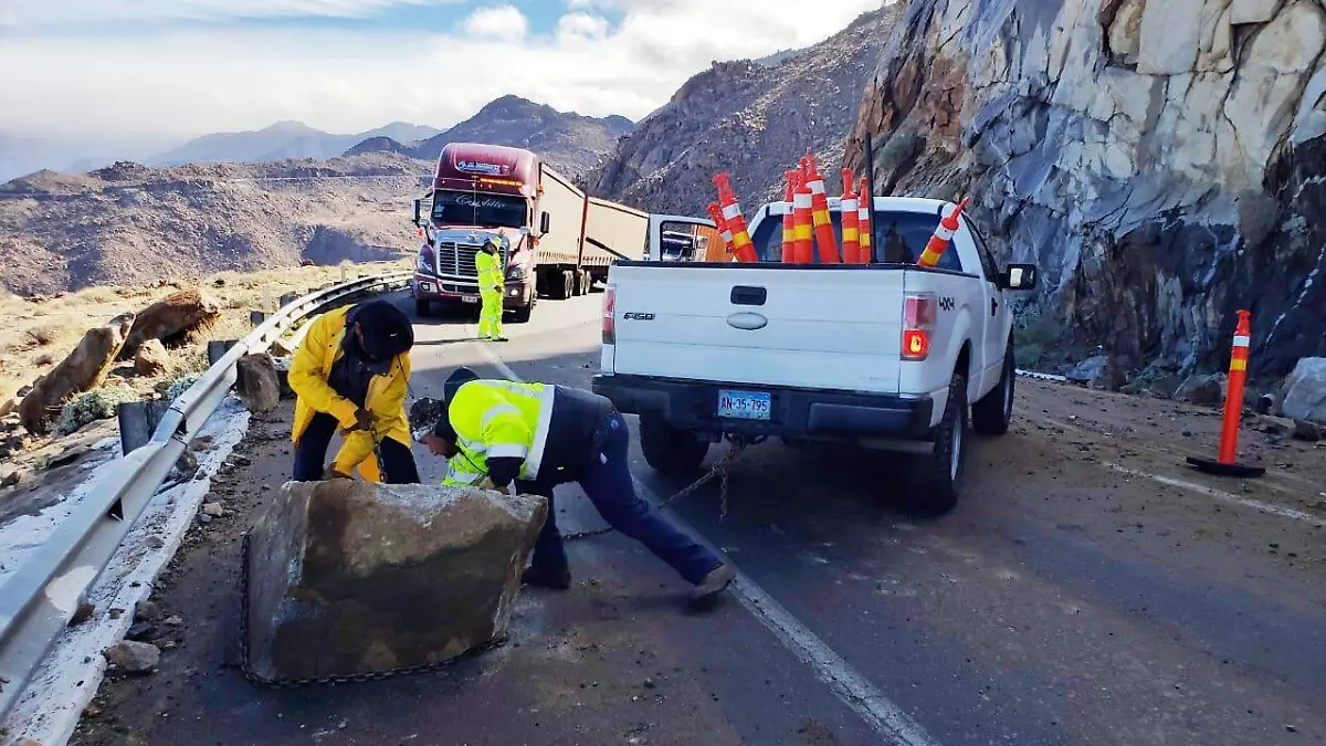 WhatsApp Image 2019-11-29 at 12.52.26