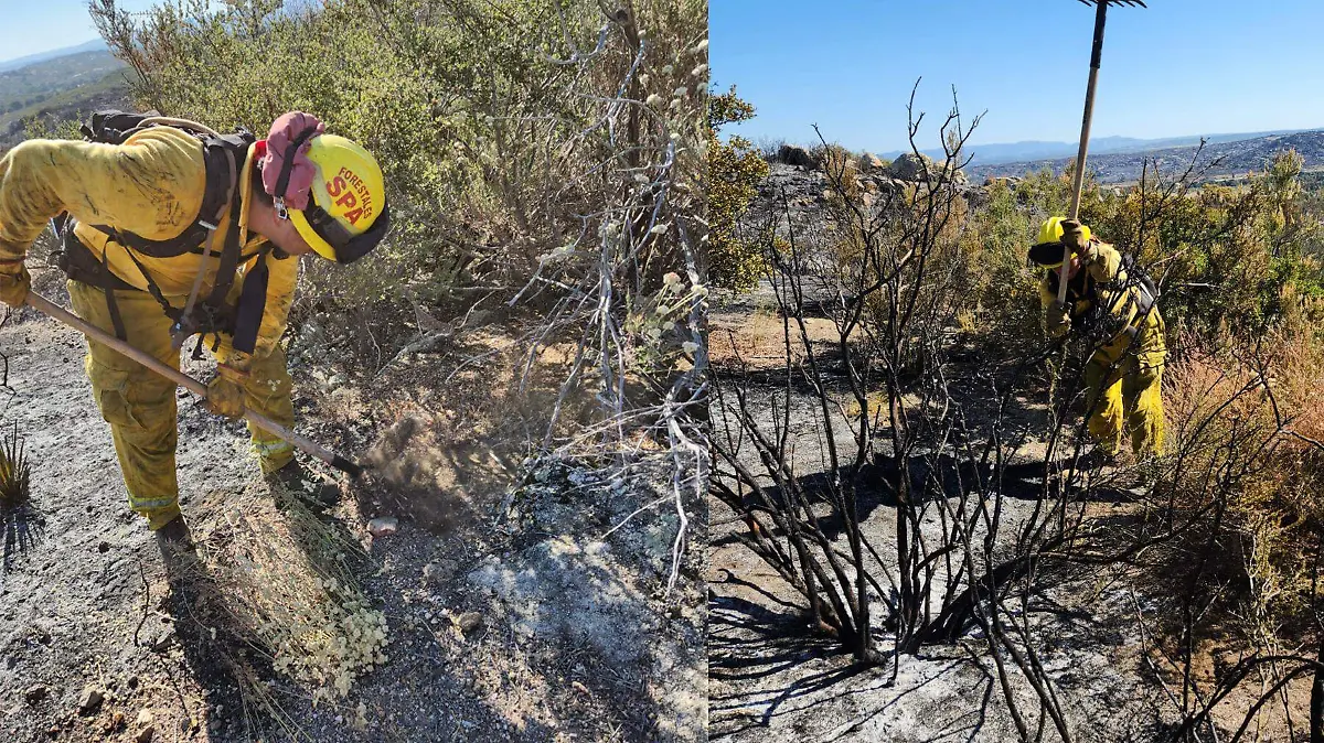 Incendio forestal que empezó el sábado en el rancho Banchetti, entre El Hongo y Tecate