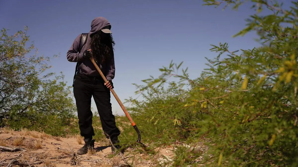 Restringen Brigada Internacional de Búsqueda en el valle de Mexicali