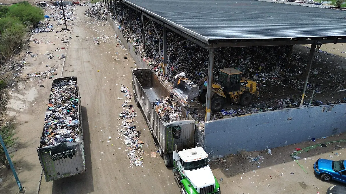  Promotora Ambiental la Laguna (PASA).