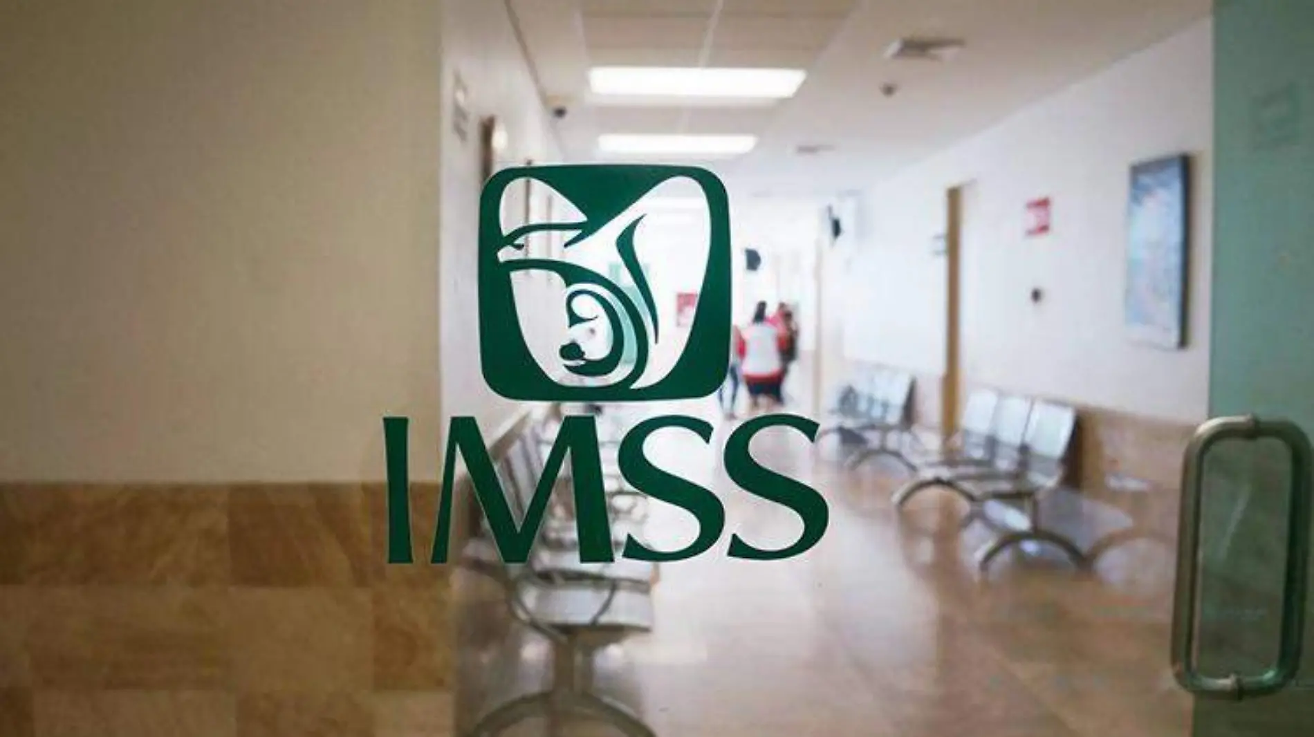 IMSS