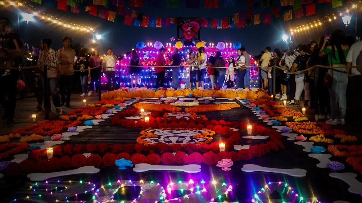 WhatsApp Image 2024-10-26 at 6.40.26 PM