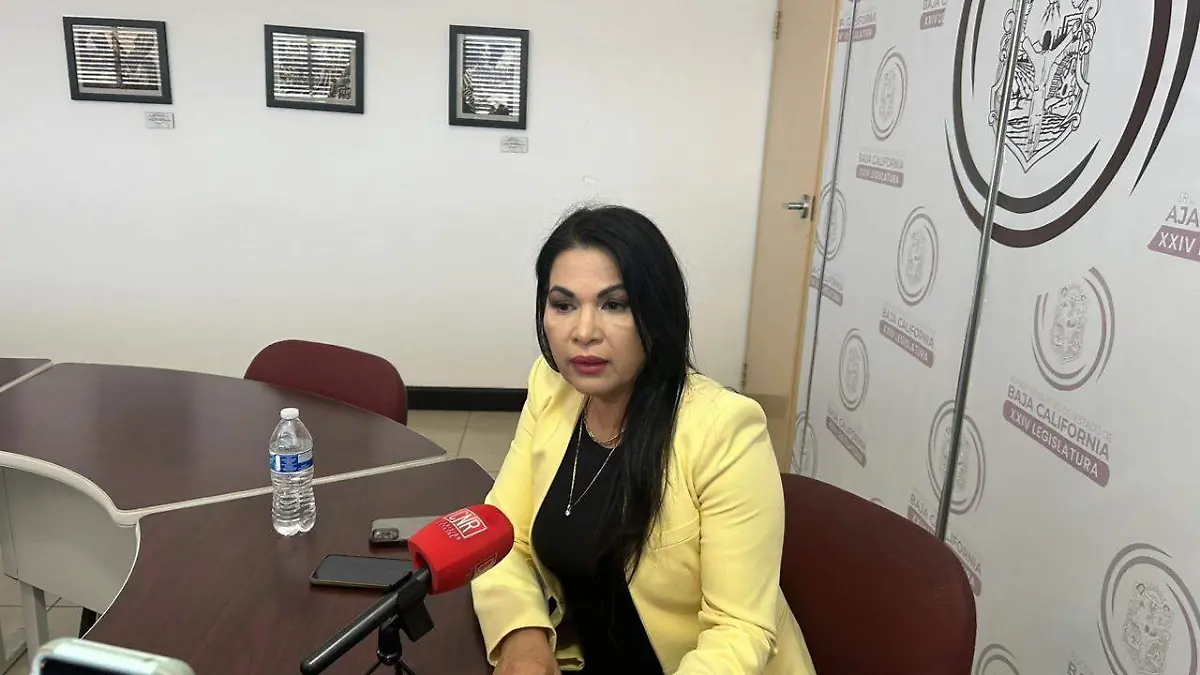  Diputada | Santa Alejandrina Corral Quintero