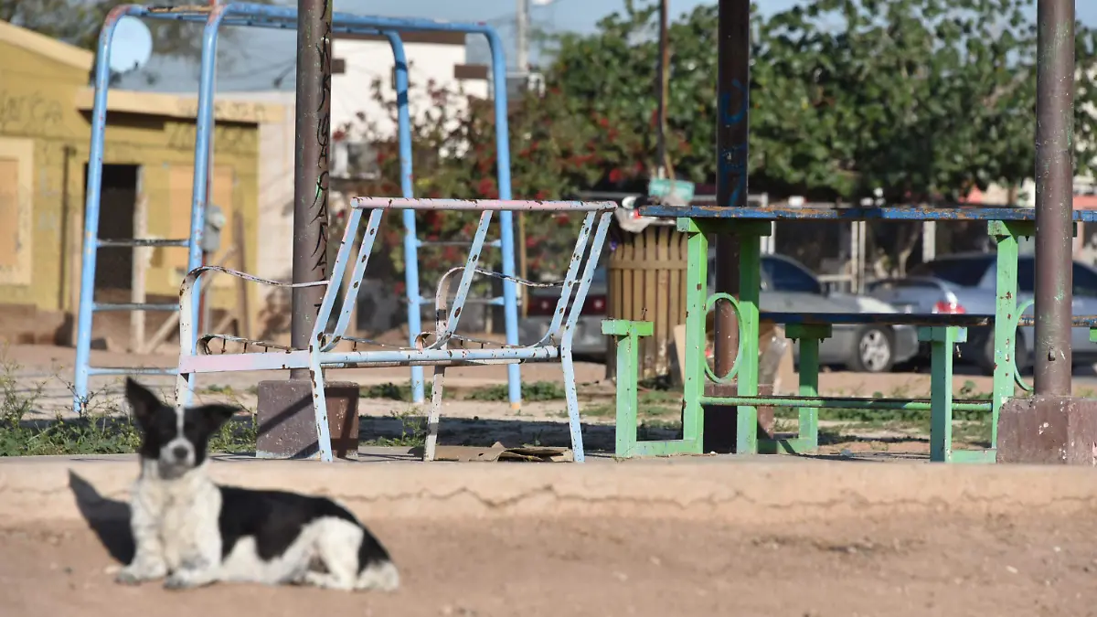 Denuncian parques muncipales en estado de abandono 