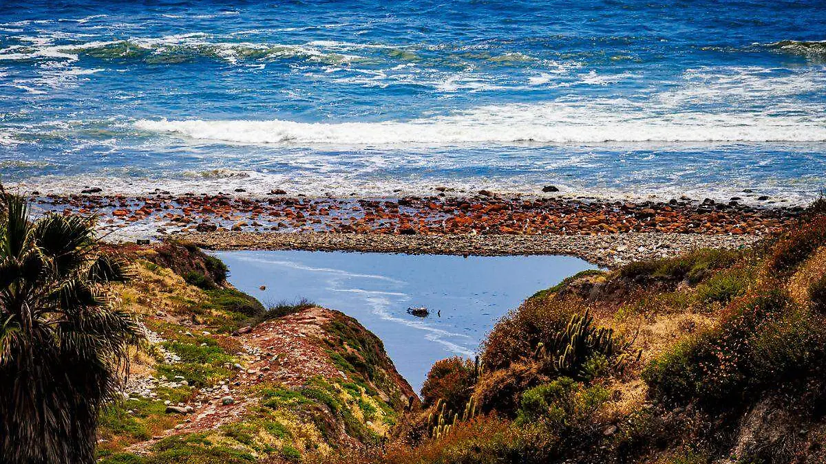 Sigue BC en lista de playas contaminadas