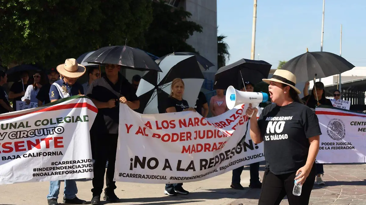 WhatsApp Image 2024-10-25 at 2.25.18 PM