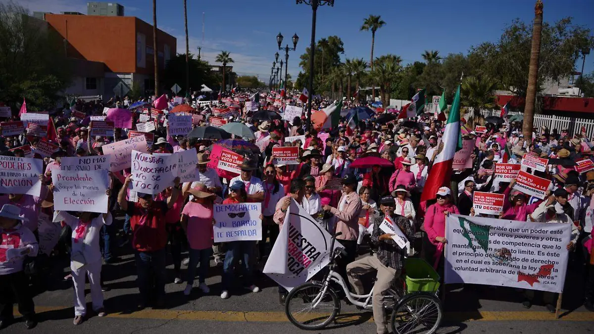 WhatsApp Image 2024-02-18 at 10.29.22 AM