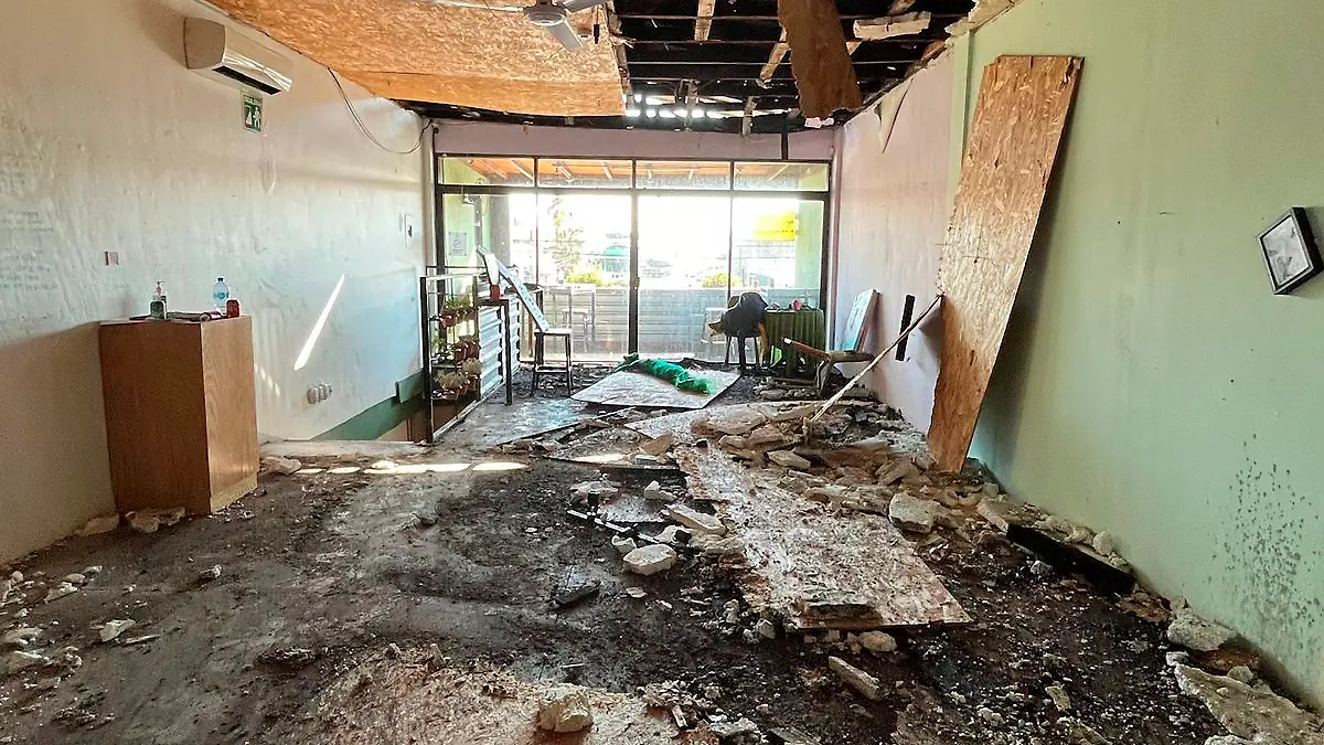 WhatsApp Image 2024-02-03 at 6.31.28 PM