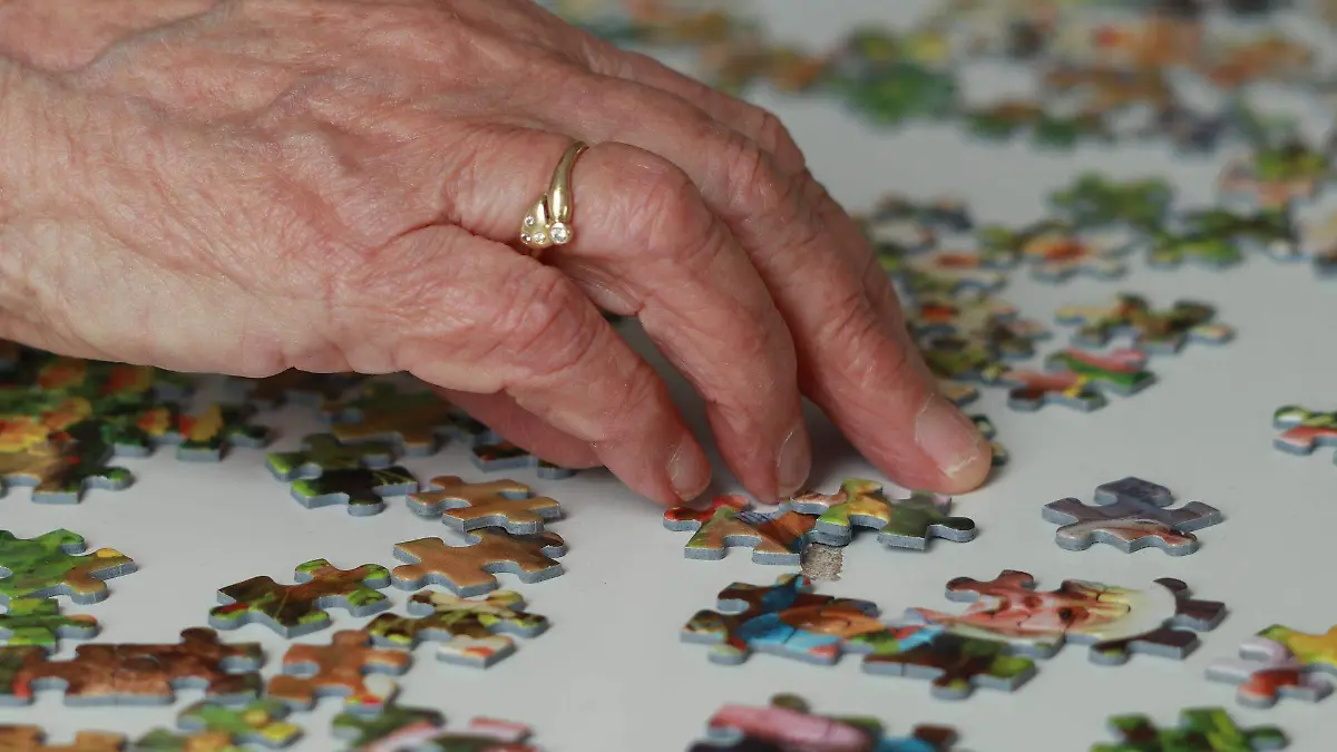 puzzle-g40e890021_1920