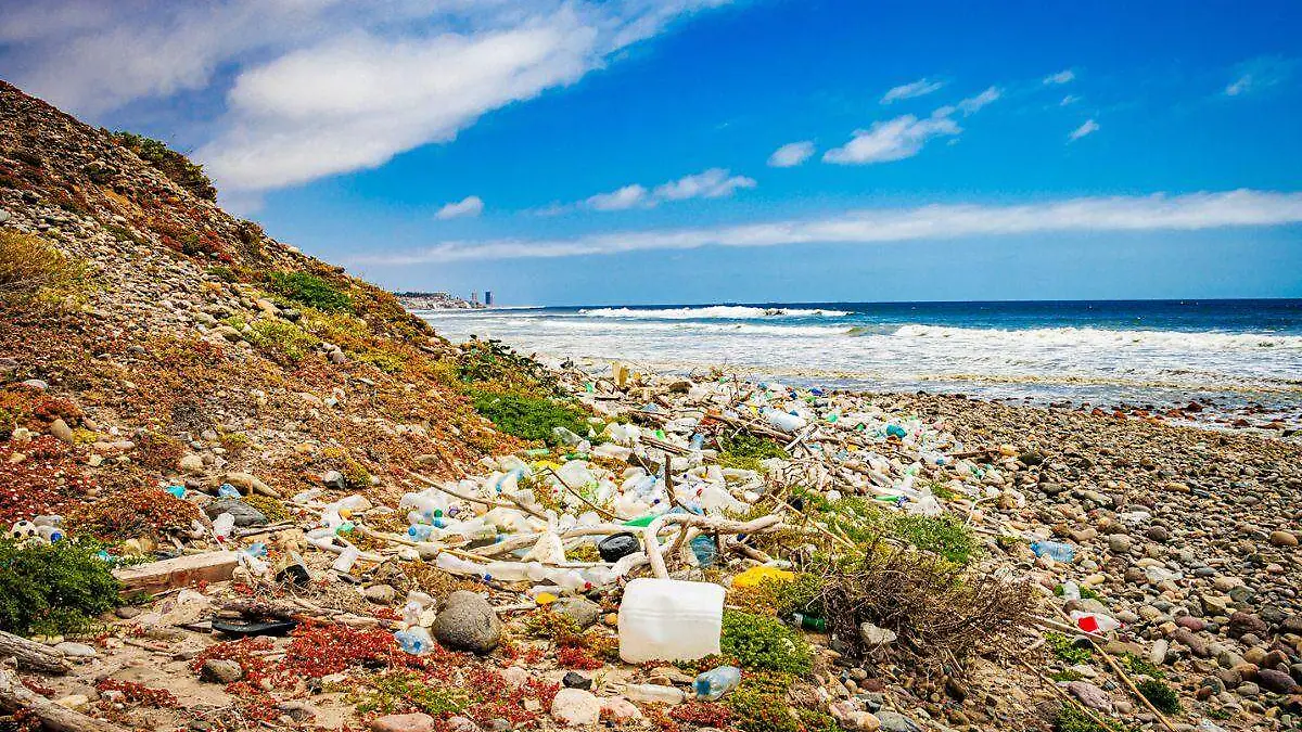 Sigue BC en lista de playas contaminadas