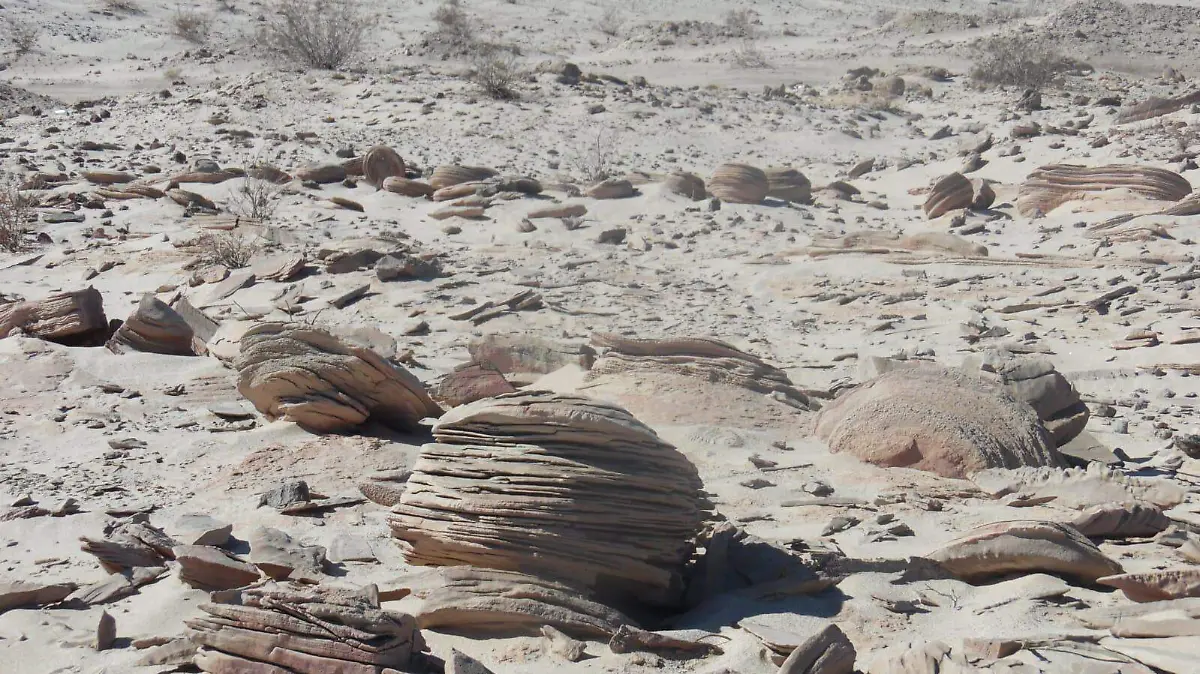 Piedras de forma inusual encontradas en la zona de Macahui en Mexicali BC