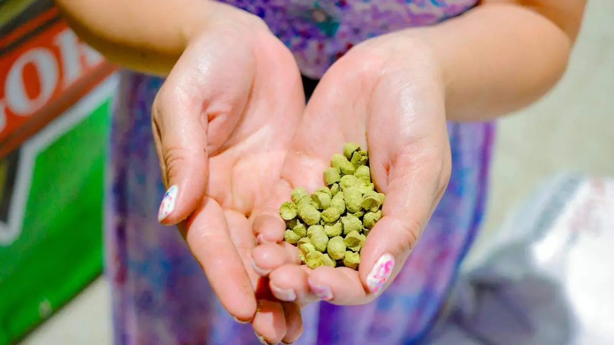 Laura rompe techos de cristal como cervecera