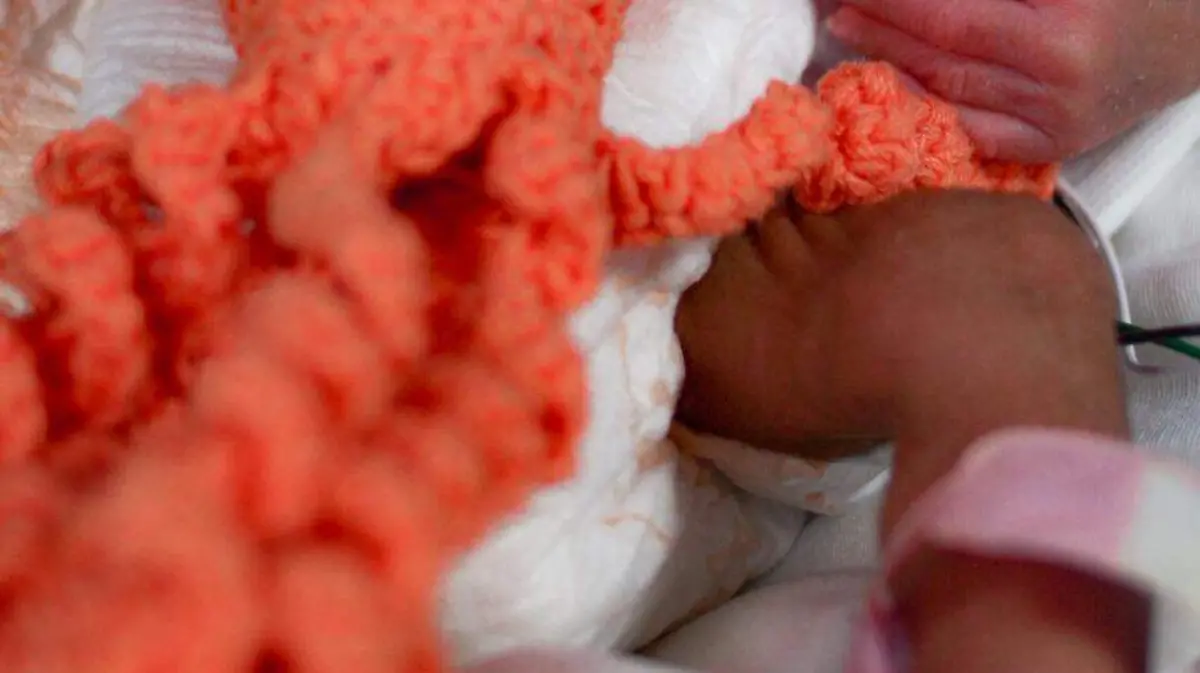 Pulpitos tejidos apoyan a bebés cachanillas 2