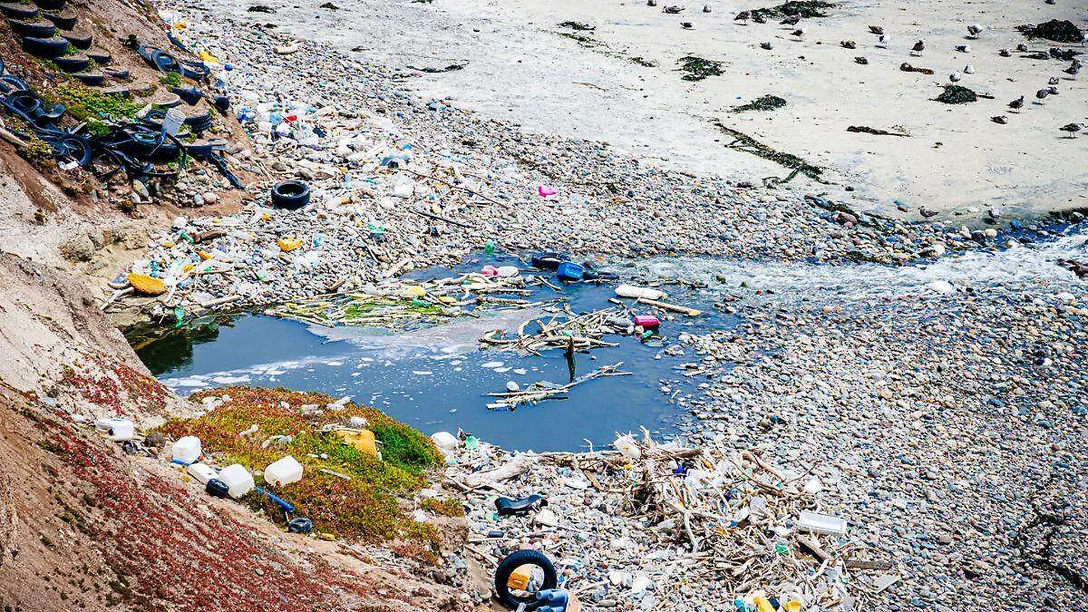 Sigue BC en lista de playas contaminadas