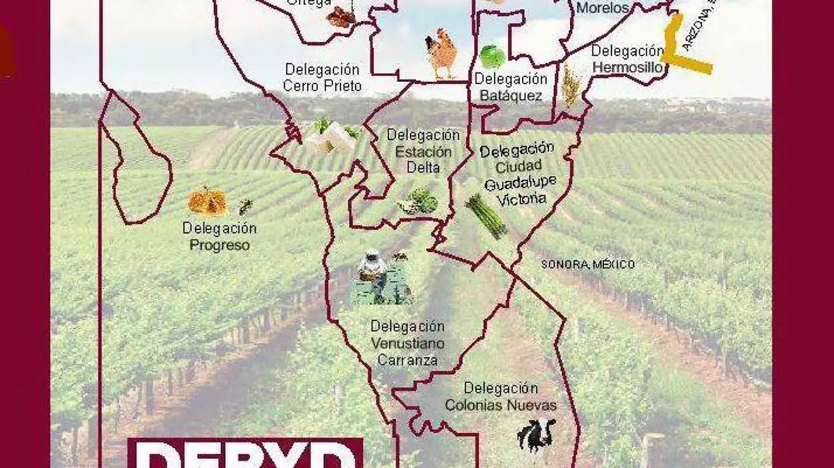 94991189_115822676773868_5882755575061676032_o