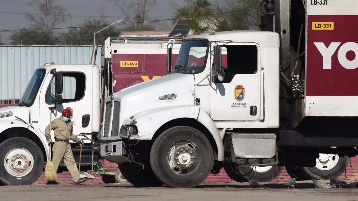 WhatsApp Image 2022-01-07 at 12.10.39