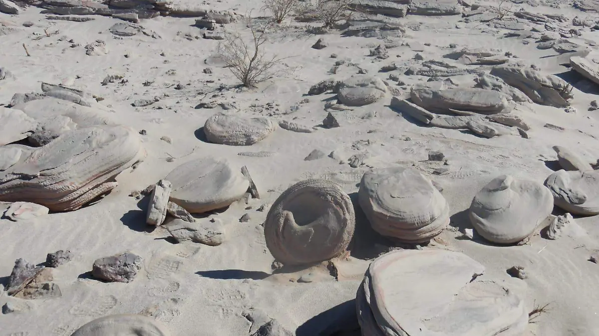 Piedras de forma inusual encontradas en la zona de Macahui en Mexicali BC