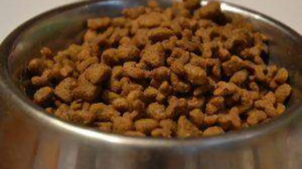 WhatsApp Image 2019-04-01 at 3.37.38 PM