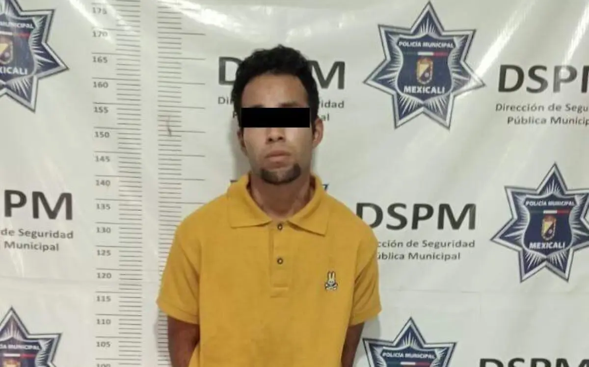 WhatsApp Image 2024-09-24 at 3.14.26 PM (1)