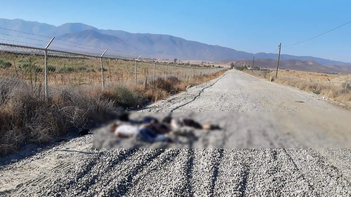 WhatsApp Image 2020-10-03 at 12.55.57 PM