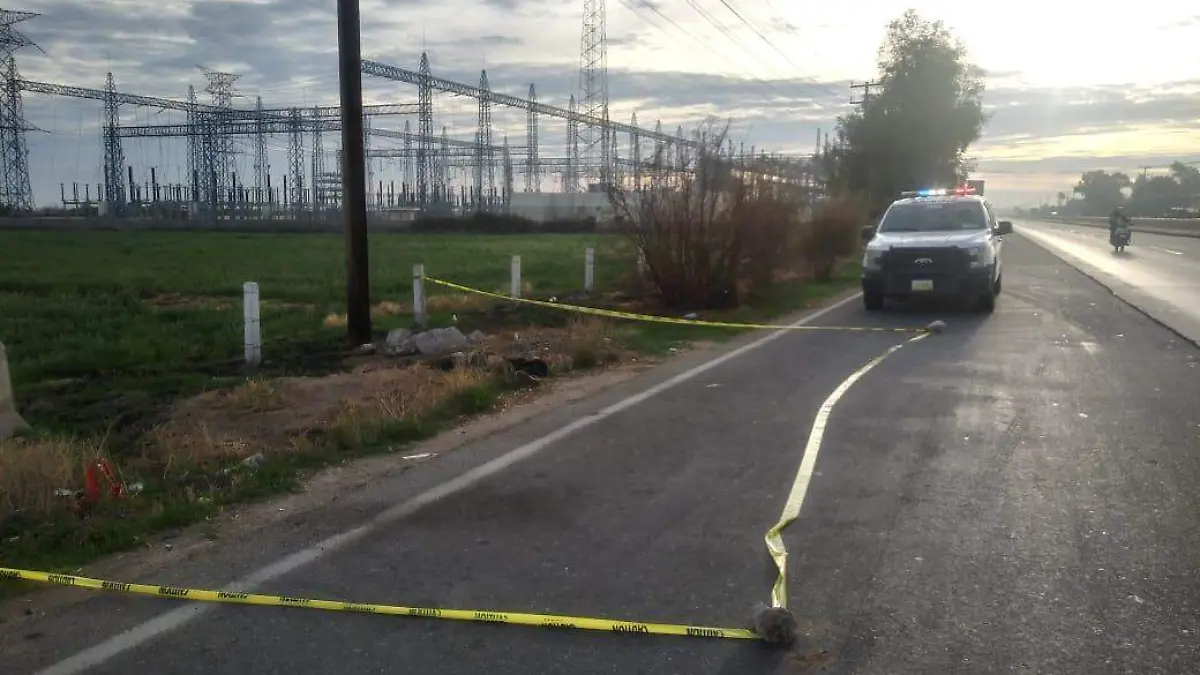 WhatsApp Image 2021-02-13 at 9.40.52 AM