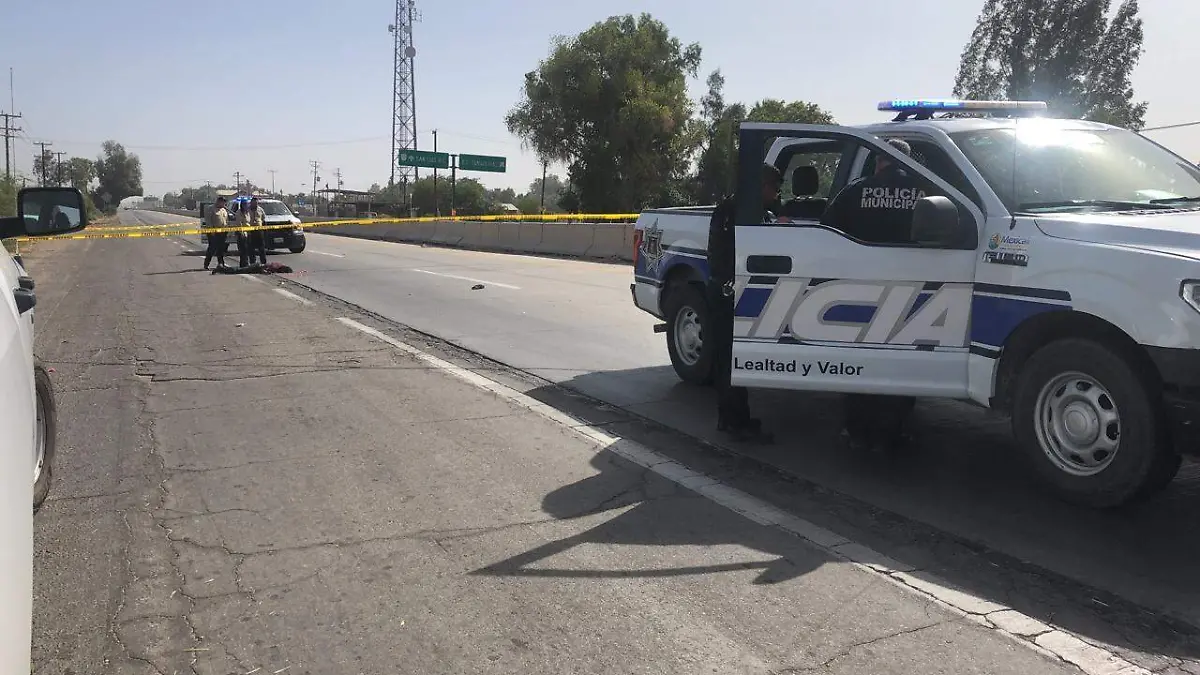 WhatsApp Image 2019-10-24 at 11.48.56 AM