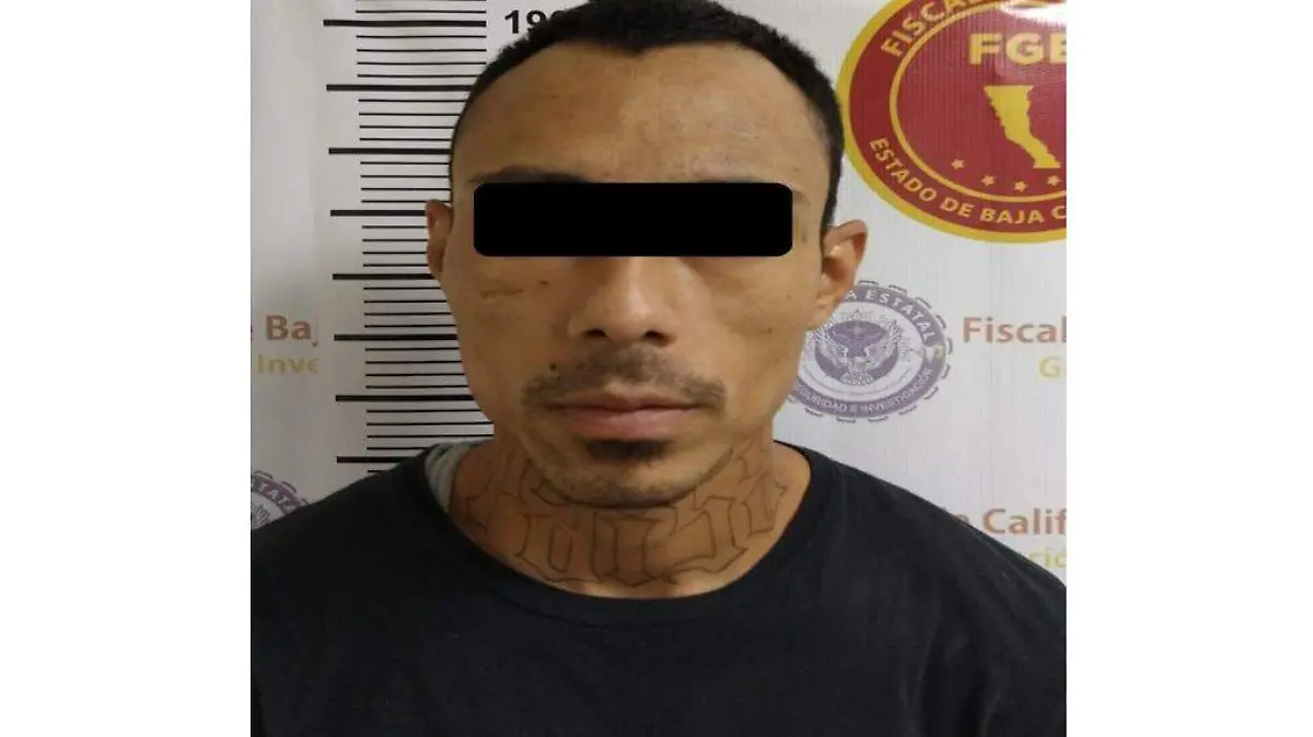 WhatsApp Image 2021-09-09 at 14.40.02