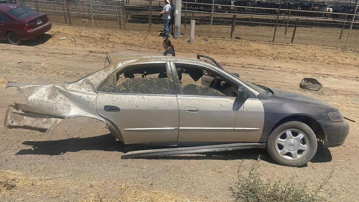 WhatsApp Image 2024-06-24 at 4.44.49 PM