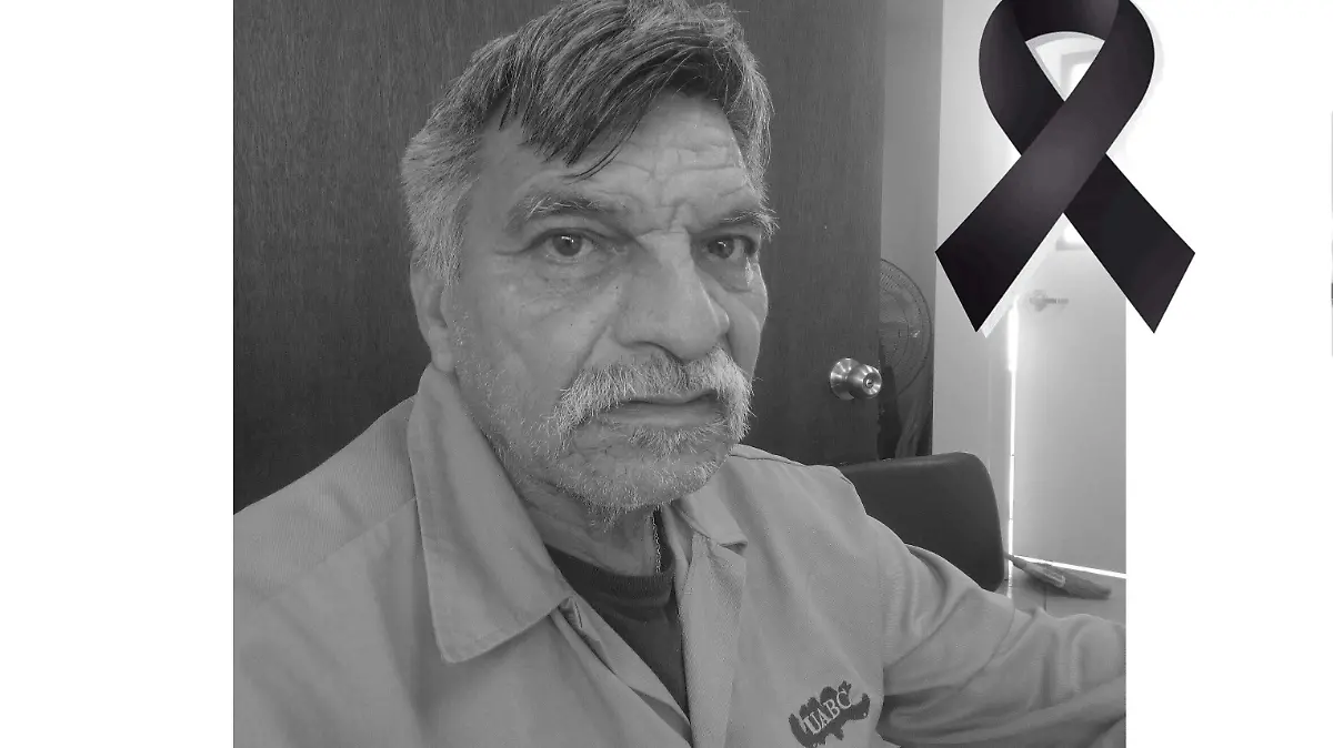 89107351_103951114559027_6639688847393292288_n