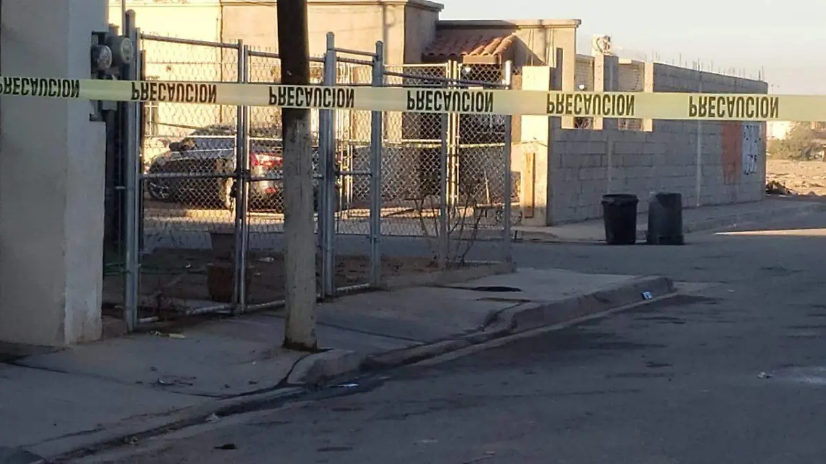 WhatsApp Image 2022-01-07 at 08.35.21