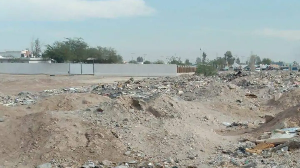 WhatsApp Image 2022-01-07 at 09.05.14