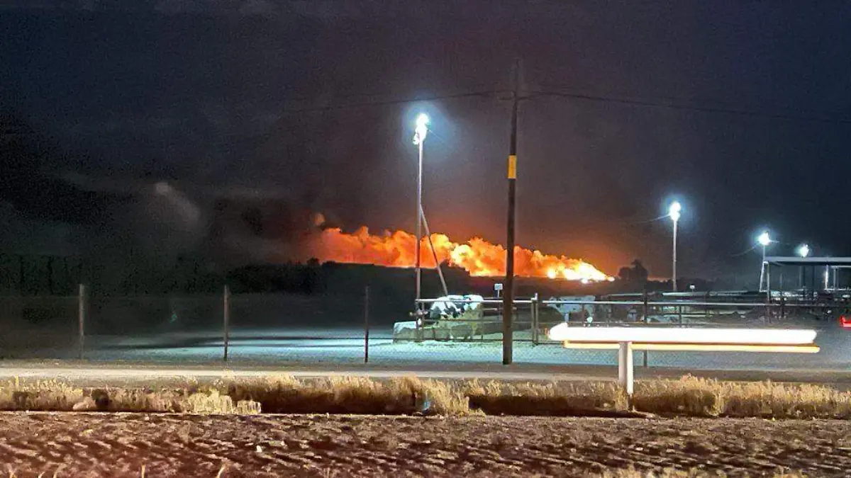 WhatsApp Image 2021-05-16 at 10.55.07 PM (1)