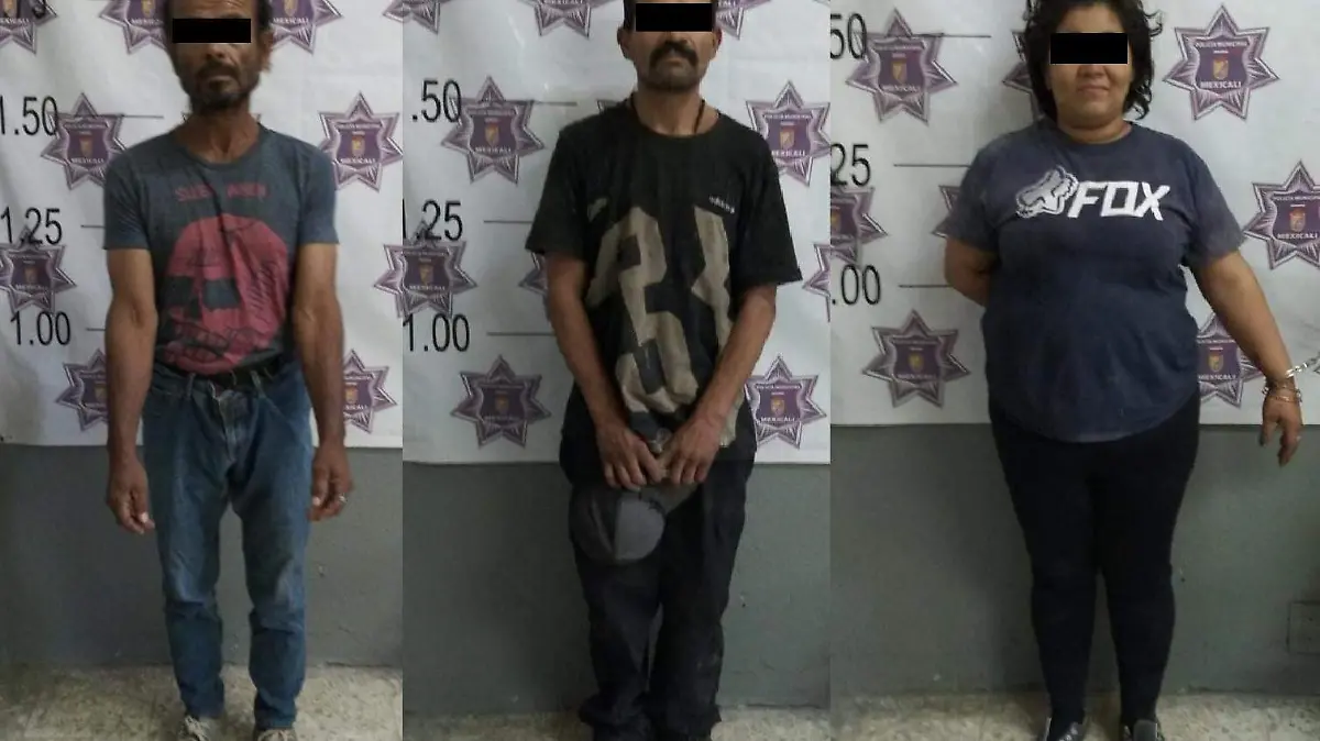 WhatsApp Image 2021-10-30 at 11.53.53