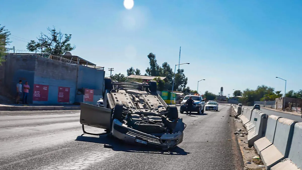 WhatsApp Image 2023-11-12 at 12.41.46 PM