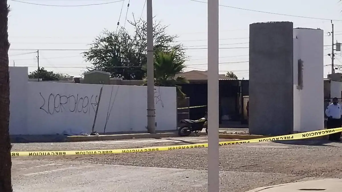 WhatsApp Image 2021-06-20 at 11.24.19 AM