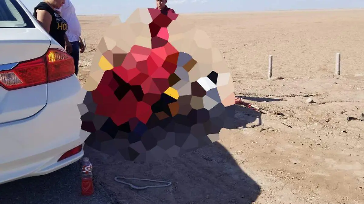 WhatsApp Image 2021-07-27 at 2.38.17 PM