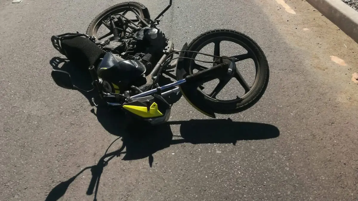 WhatsApp Image 2024-04-15 at 6.38.10 PM