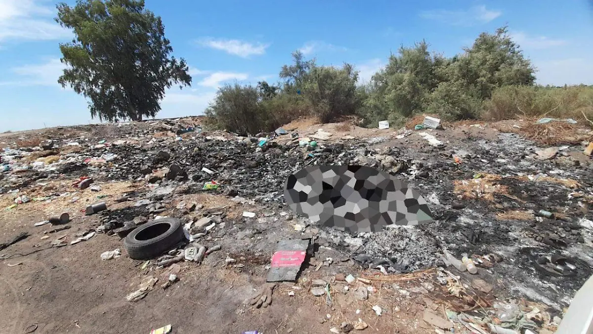 WhatsApp Image 2021-07-23 at 10.27.37 AM