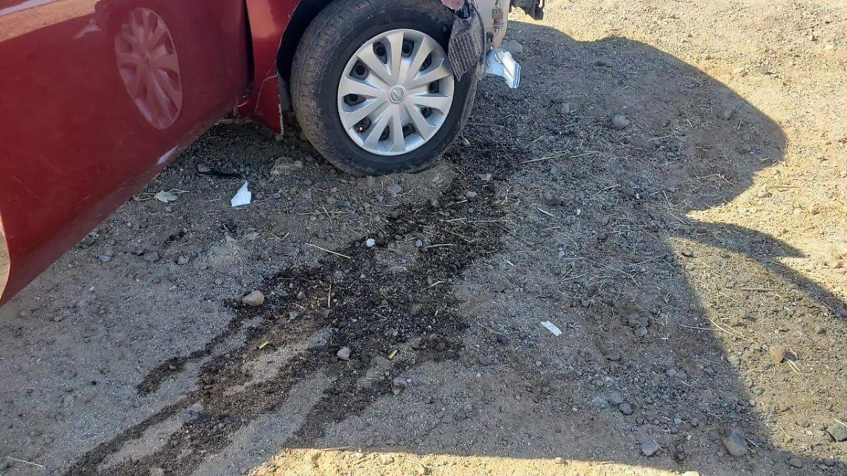 WhatsApp Image 2024-01-14 at 12.40.03 PM