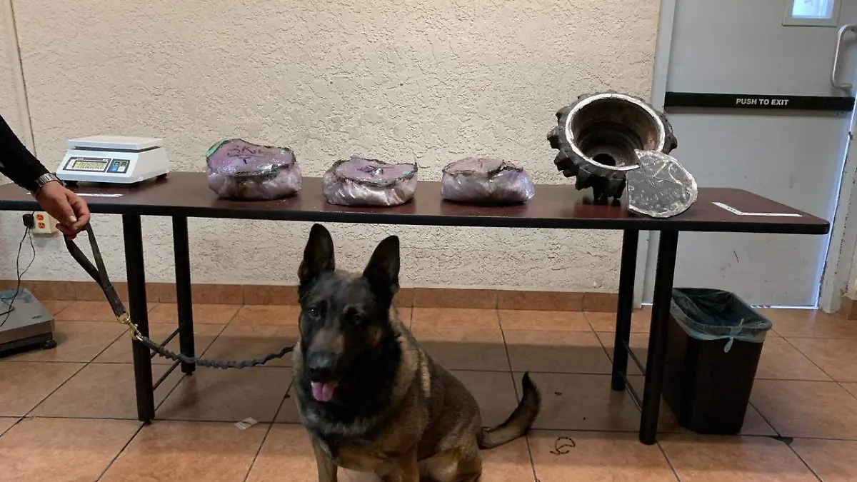 WhatsApp Image 2020-07-29 at 11.41.24 AM