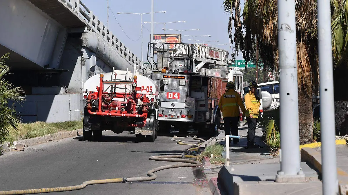 WhatsApp Image 2024-04-14 at 3.34.49 PM