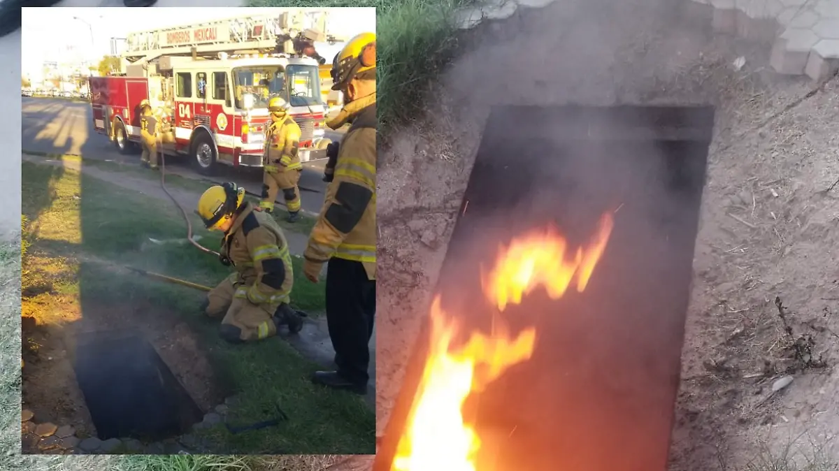 WhatsApp Image 2024-02-28 at 7.38.32 AM