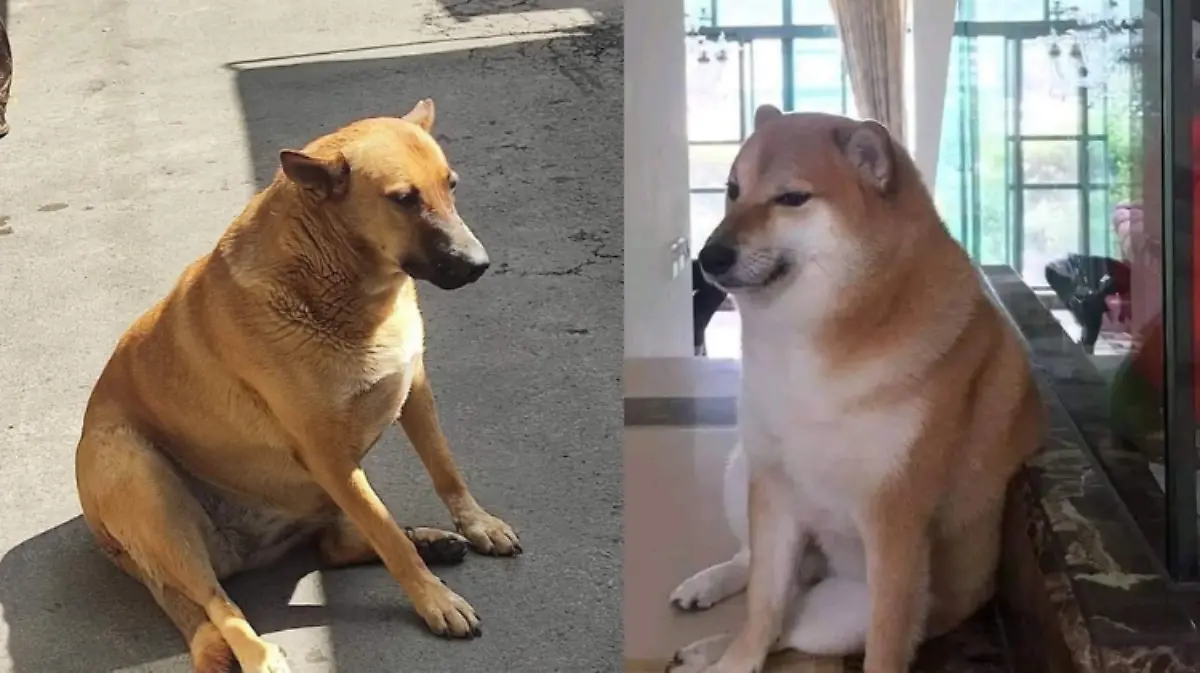 Diseño sin título (2)