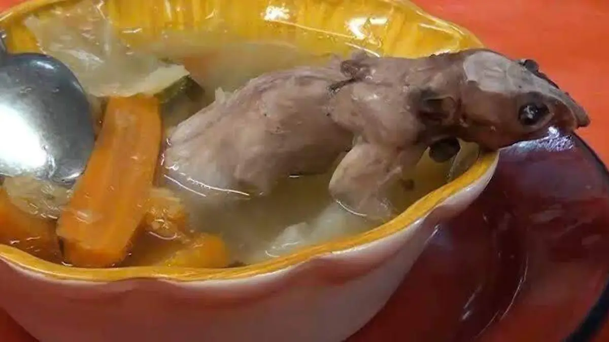 Caldo de rata