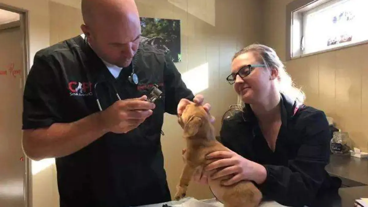 75246628_2581301508628138_115793971862568960_n