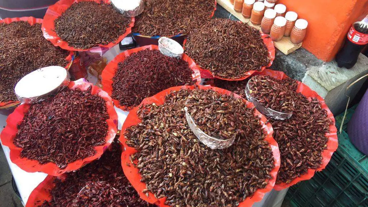 Chapulines 